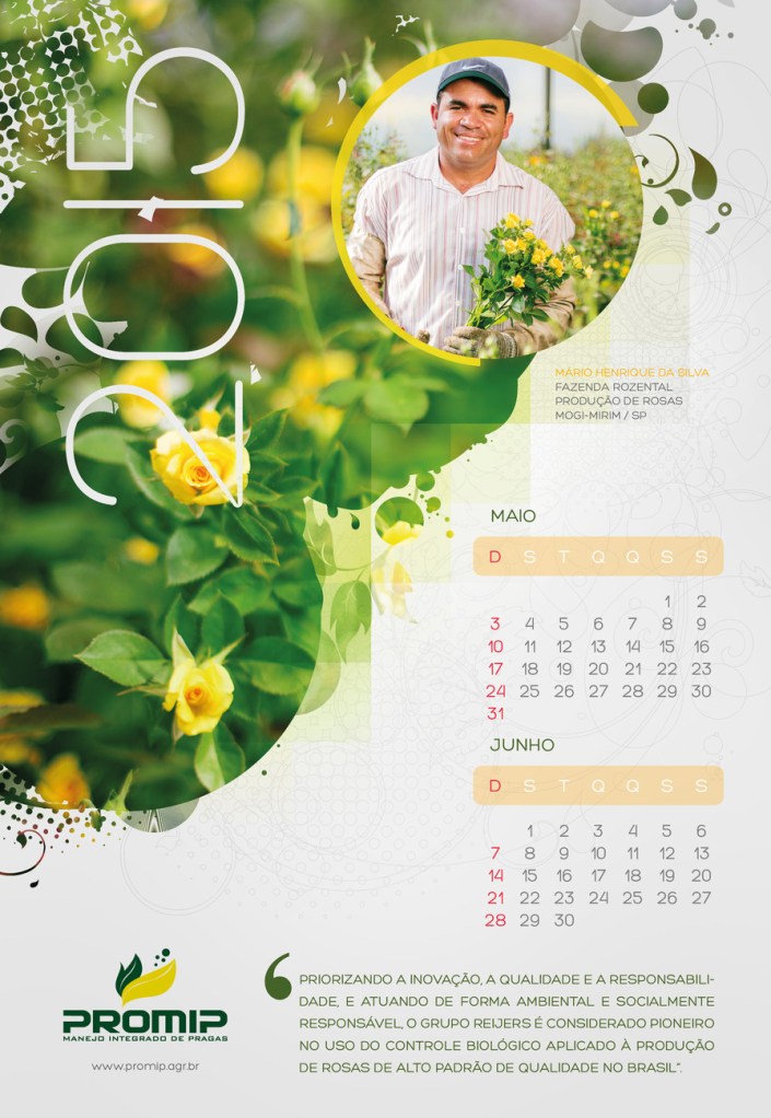 Calendário Promip 2015