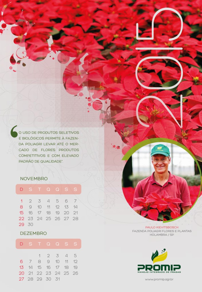 Calendário Promip 2015