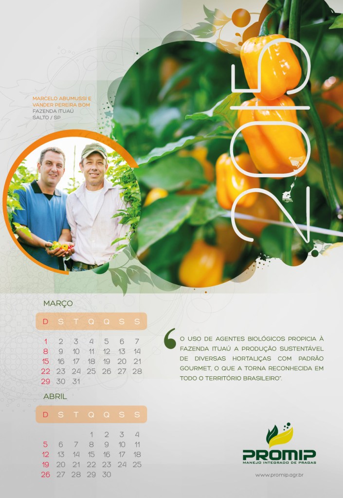 Calendário Promip 2015